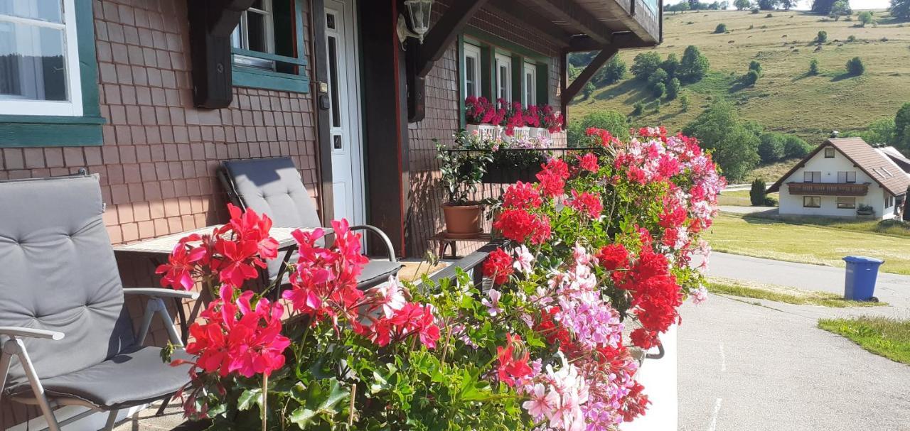 Ferienwohnung Schwarzwaldhaus Kathi Todtmoos Exterior foto