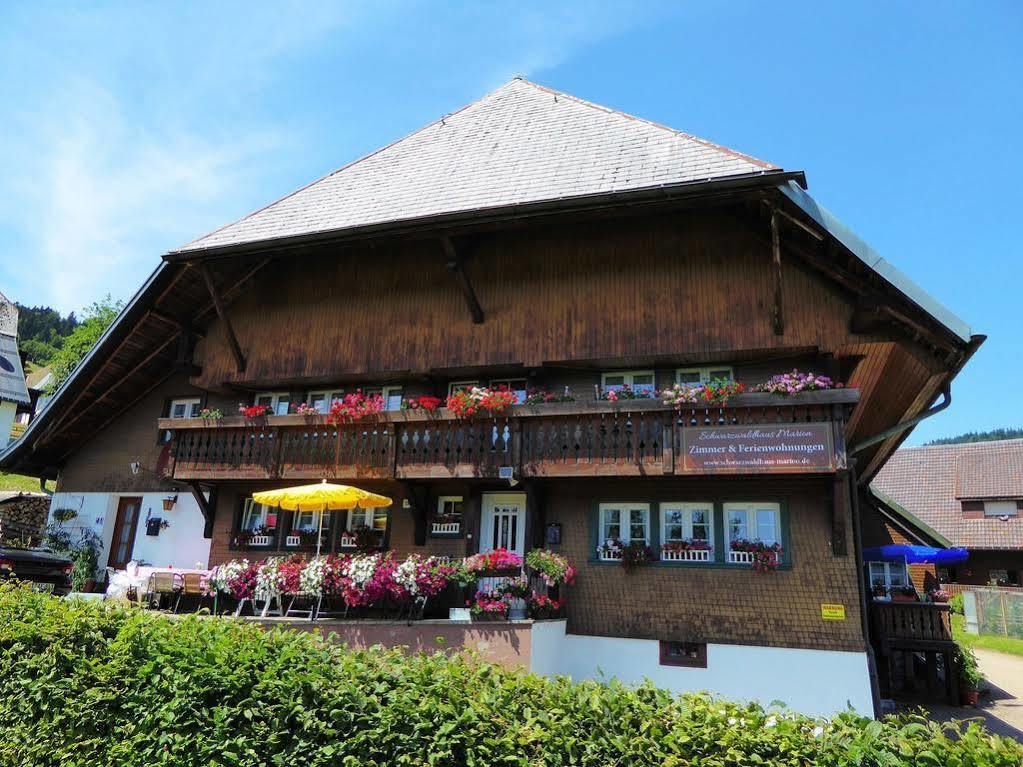 Ferienwohnung Schwarzwaldhaus Kathi Todtmoos Exterior foto