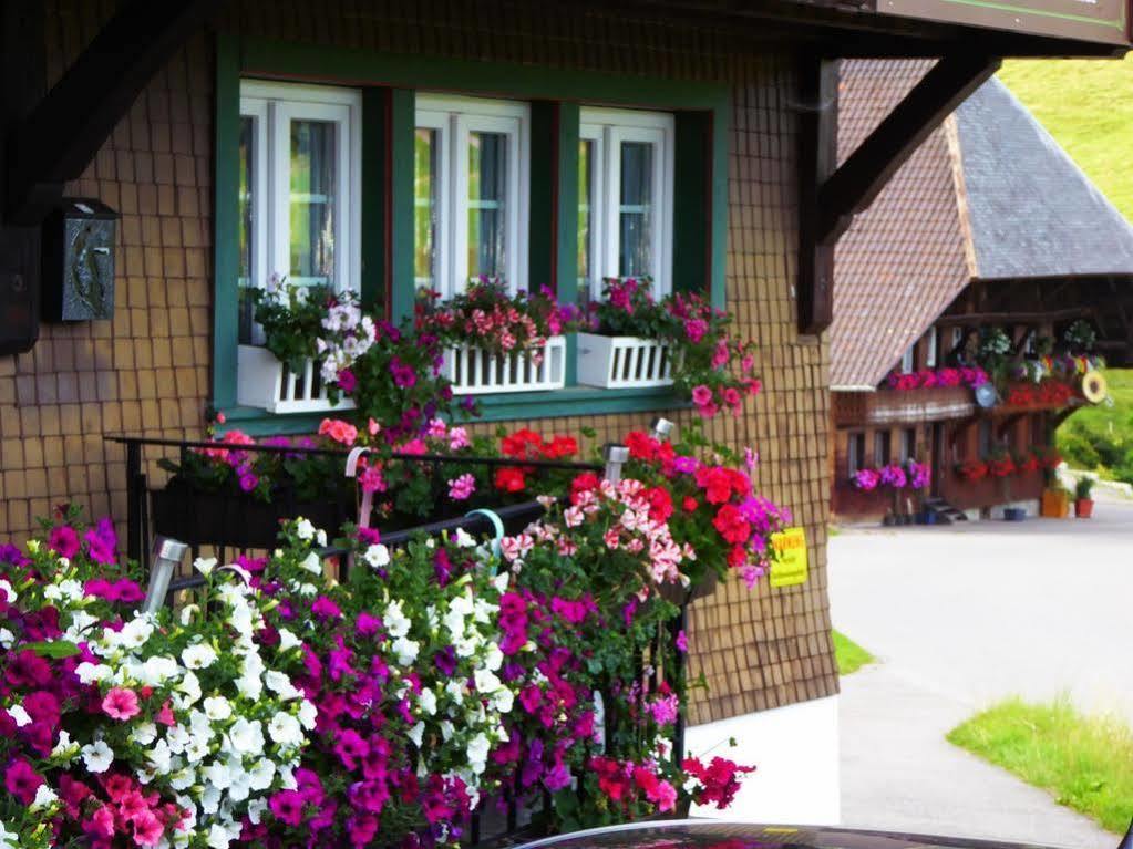 Ferienwohnung Schwarzwaldhaus Kathi Todtmoos Exterior foto