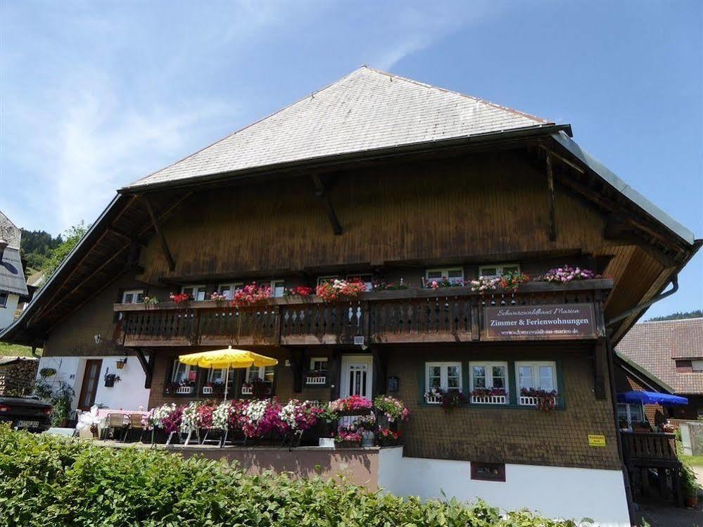 Ferienwohnung Schwarzwaldhaus Kathi Todtmoos Exterior foto